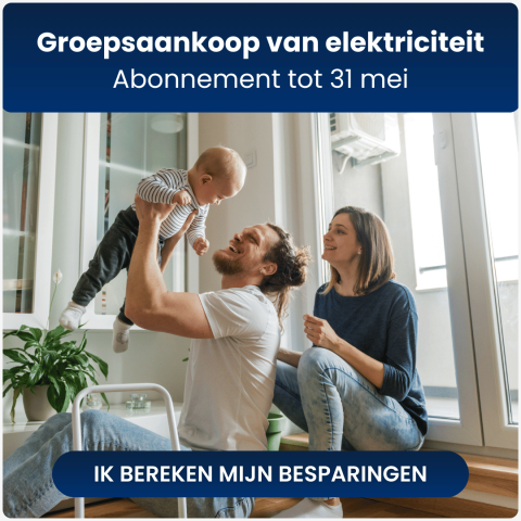 Groepsaankoop van elektriciteit
